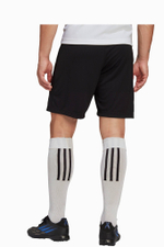 Шорты adidas Entrada 22 Training