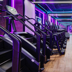 Тренажер-лестница TANGEN D8900