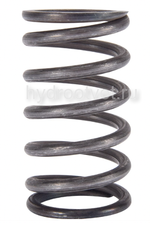 A10VO100 COIL SPRING - Спиральная пружина
