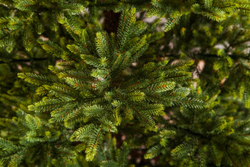 Ель Королевская Премиум 100% литая 155см зеленая Triumph Tree