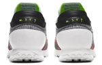 Кроссовки Nike Daybreak Type