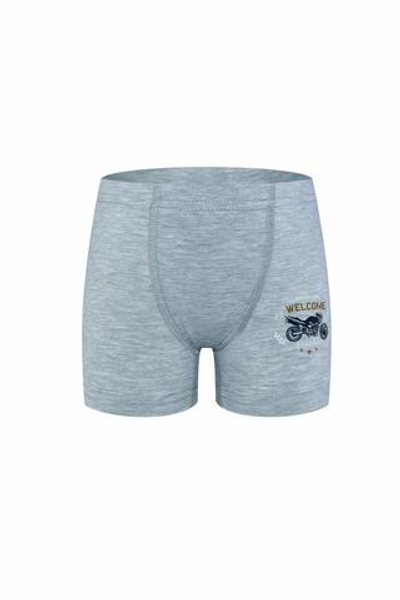 Боксеры для мальчиков 3371 р.110 (5-6 лет) в ассорт. (BAYKAR)