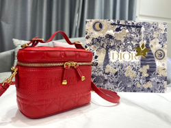 Christian Dior Small DiorTravel Vanity Case