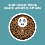 Bowl wow корм сухой для взрослых собак мелких пород: индейка, рис, розмарин