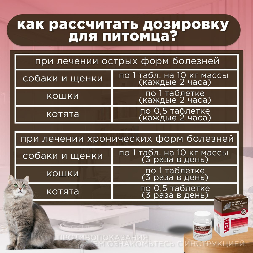 Таблетки для собак и кошек профилактики и лечения Фитоэлита Здоровые почки, 50 таблеток , Экстракты лекарственных трав, VEDA