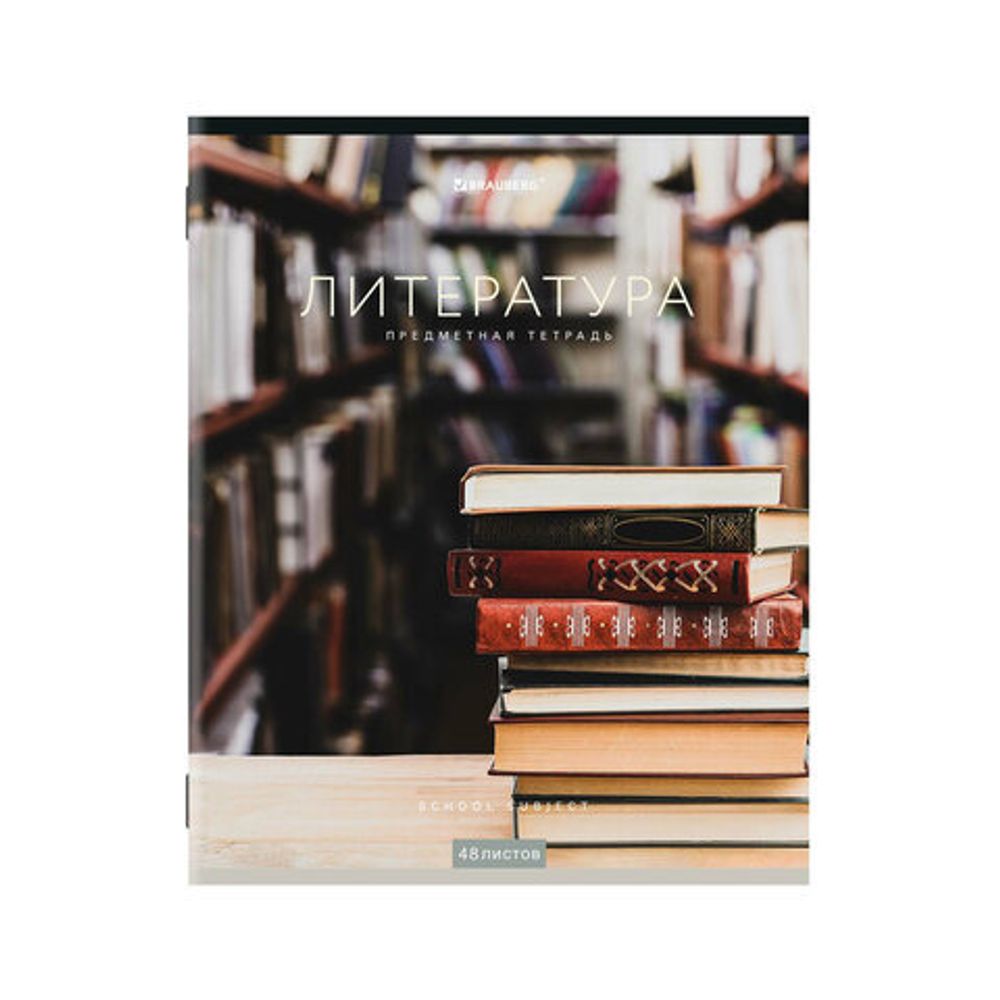Тетради предметные, КОМПЛЕКТ 12 ПРЕДМЕТОВ, КЛАССИКА NEW, 48 л., обложка картон, BRAUBERG, 404322