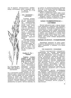 Ботанический атлас | Б.К. Шишкин
