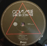 Gov't Mule / Dark Side Of The Mule (2LP)
