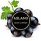 Milano - Black Currant (100г)
