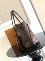 Louis Vuitton Neverfull PM