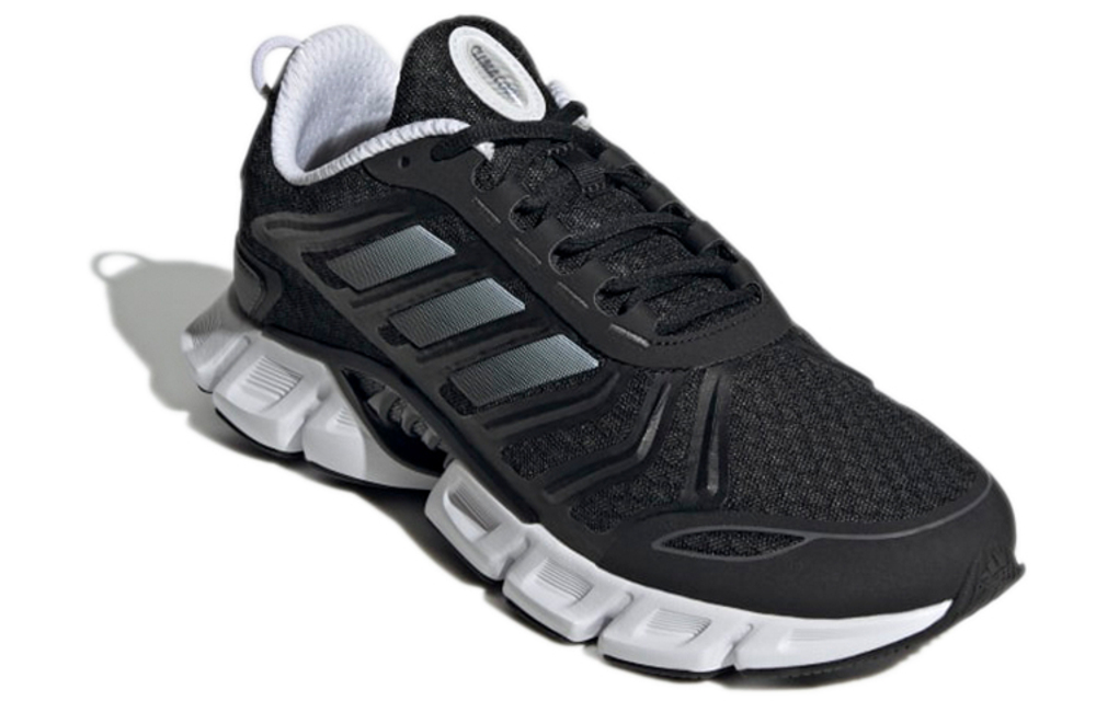 Кроссовки Adidas Climacool