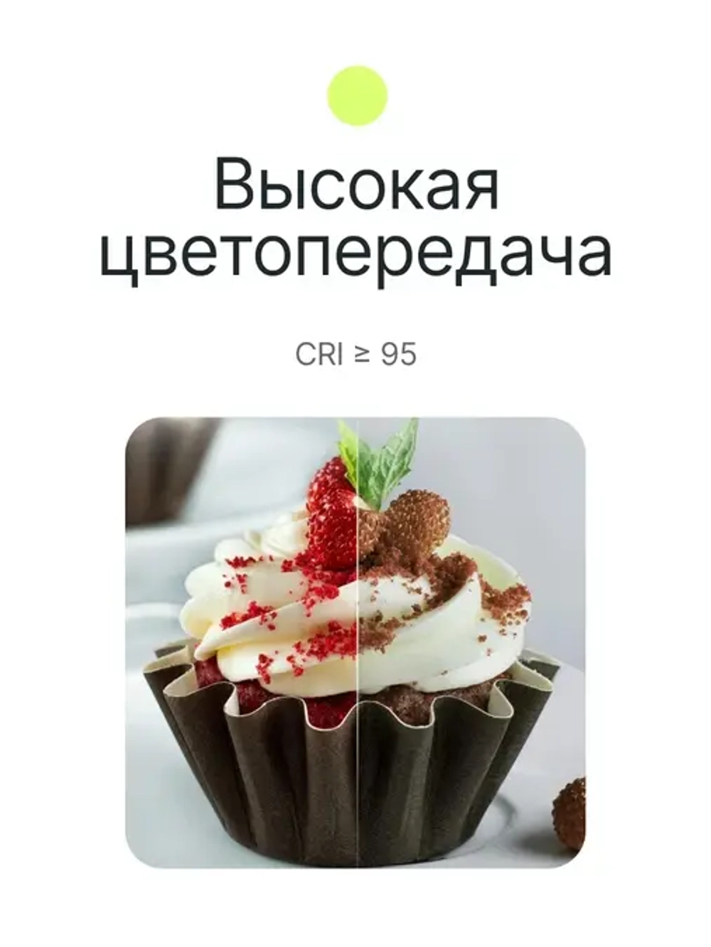 Осветитель светодиодный Raylab RL-40BI 2500-6500K 40W 3400mAh c акс-ми