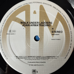 Винтажная виниловая пластинка LP Joan Armatrading Walk Under Ladders (Holland 1981)