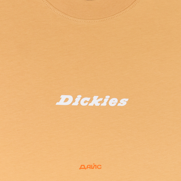 Футболка мужская Dickies Enterprise артикул:DK0A4YRNK411 - купить в магазине Дайс