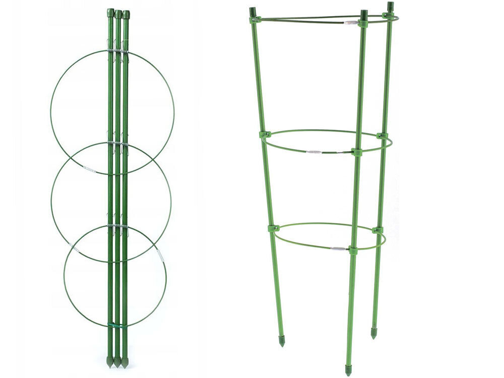 Кустодержатель 75см 3 кольца для формирования кроны, металл ДоброСад