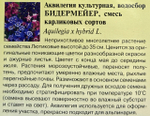 Аквилегия Бидермейер 0,1 г СМЦ-357