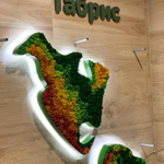 Карта мира из стабилизированного мха ягеля для супермаркета "Табрис"  г.Краснодар