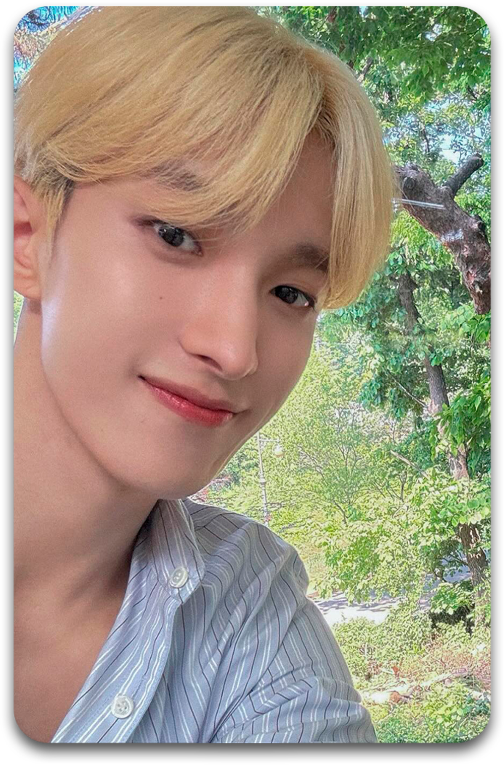 Карта #3886 / DK (SEVENTEEN)