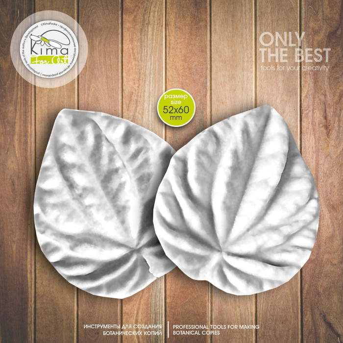 Пеперомия лист большой