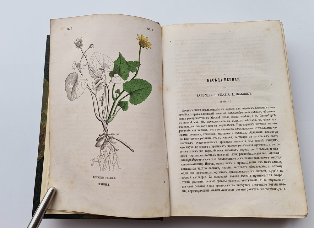 "Ботанические беседы". Б.Ауэрсвальд, Э.А.Россмесслер. 1860г.