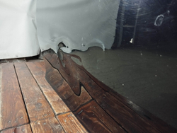 Дверь передняя правая Toyota Camry (XV70) 17-нв Б/У Оригинал 6700106290