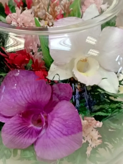 натуральные цветы в стекле, вакуум