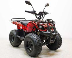 Квадроцикл подростковый GreenCamel Гоби Атакама T120 (48V 800W R8 Цепь)