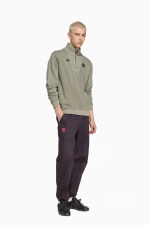 Кофта adidas FC Bayern 25/26 Terrace Icons Half-Zip - зеленый