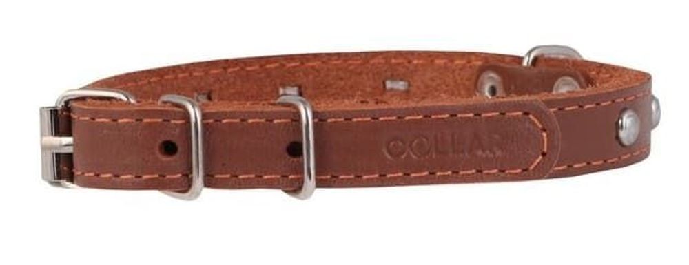 Ошейник одинарный с украшением (ширина 12мм, длина 24-32см)коричневый Ошейник одинарный с украшением (ширина 12мм, длина 24-32см)коричневый