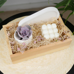 Подарочный бокс суккулент + свеча №4