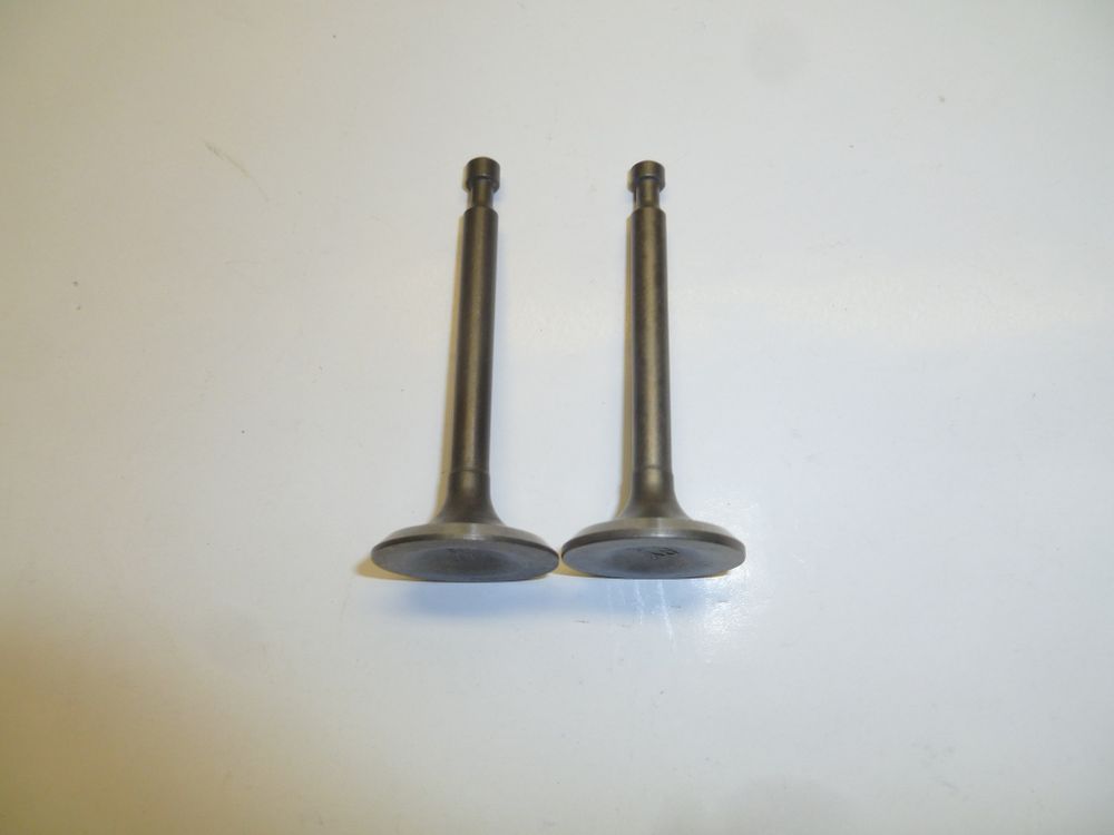 Клапаны впускной/выпускной GX160/Intake; Exhaust valves, kit