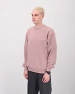 Толстовка ANTEATER Crewneck Пудра