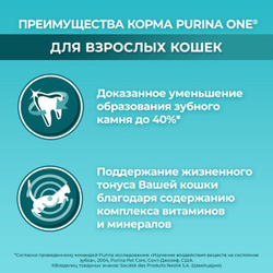 Сухой корм Purina ONE для взрослых кошек, с курицей 9,75 кг