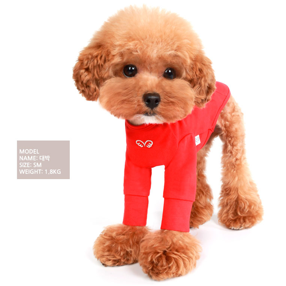 304 PA-TS Лонгслив (футболка с длинным рукавом) "Puppy Angel MAC Daily"