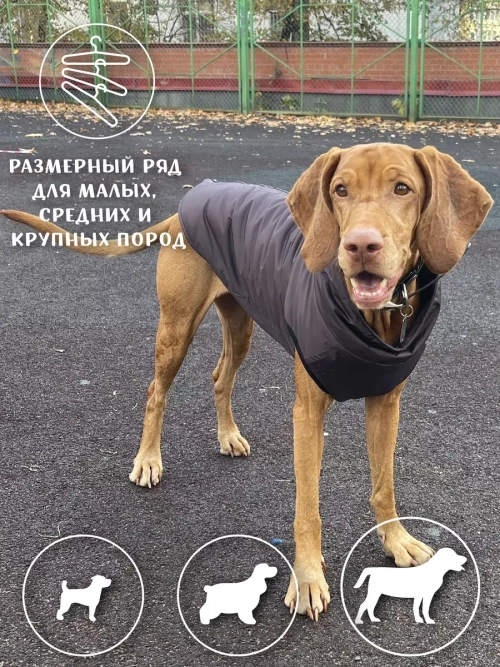 Жилет для собак мелких средних крупных пород