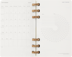 Еженедельник Moleskine ACADEMIC SPIRAL (DSSPB12AMWH3) Large 150х210мм 200стр кремовые страницы спираль черный