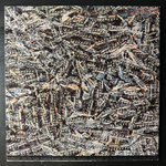 Siouxsie And The Banshees ‎– Juju (Скандинавия 1981г.)