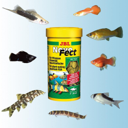 JBL NovoFect - корм для травоядных рыб (приклеивающиеся таблетки)