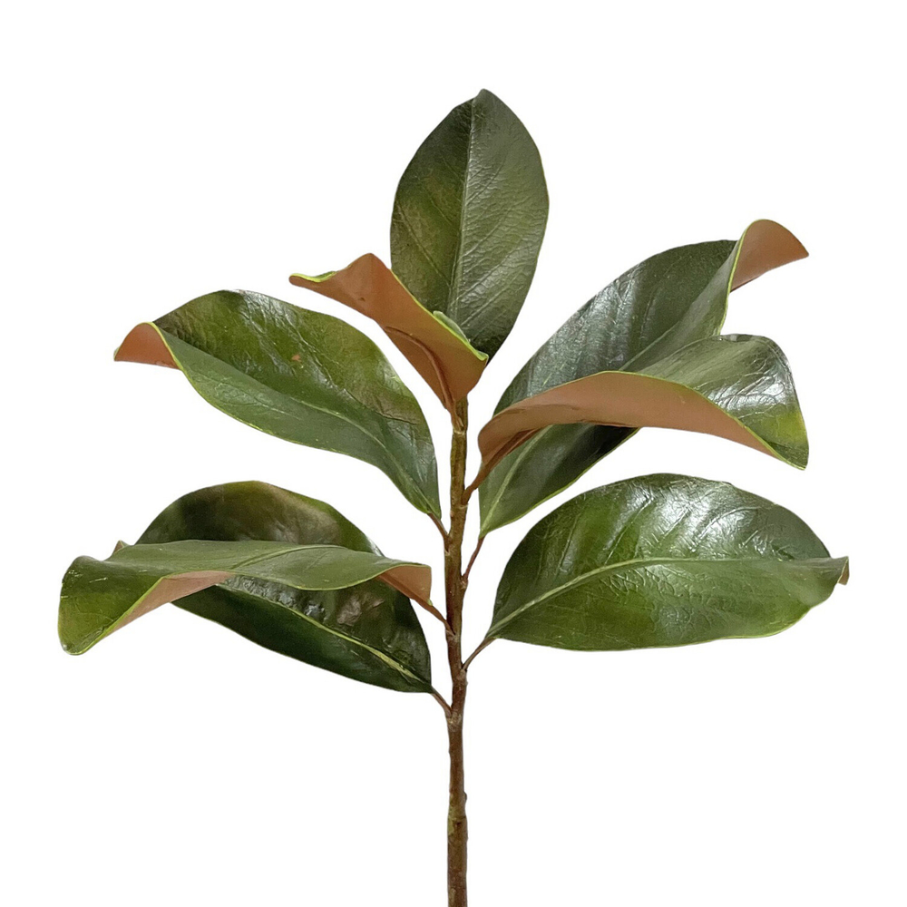 Магнолия ветка 70 см