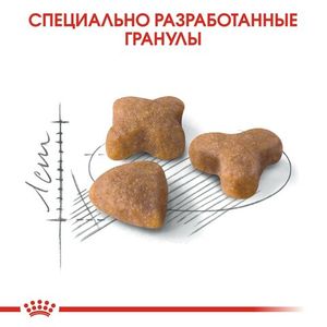 Сухой корм Royal Canin Sensible для взрослых кошек с чувствительной пищеварительной системой