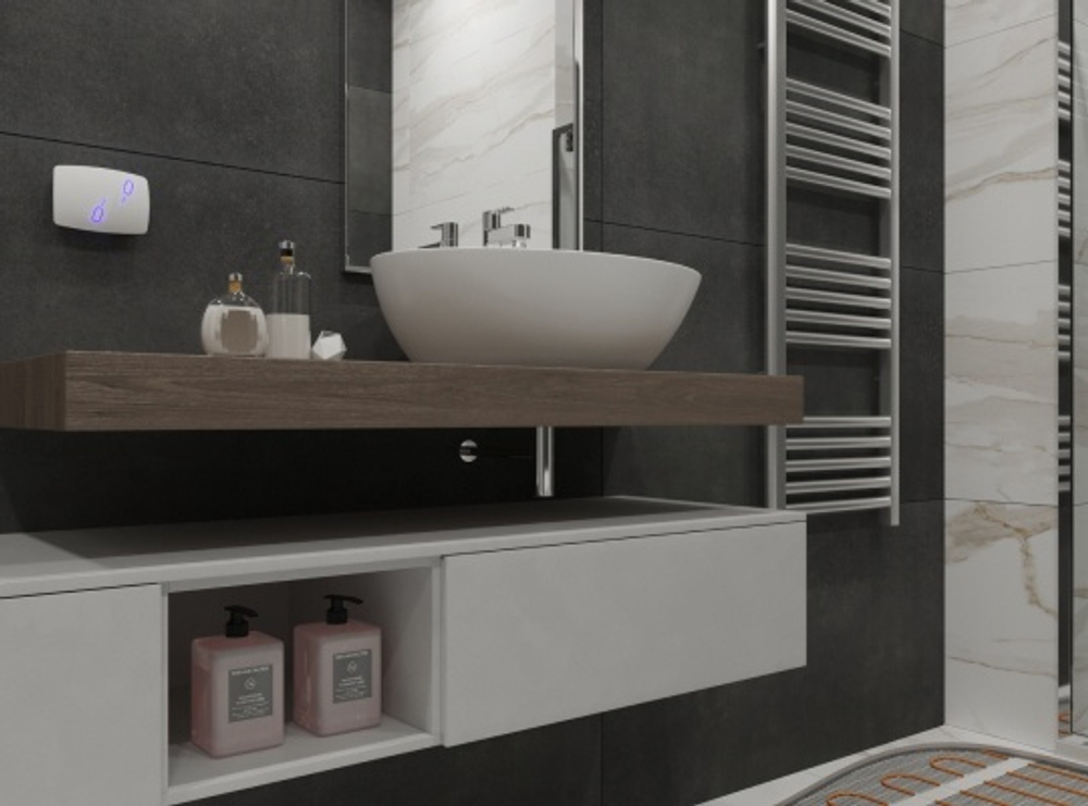 Терморегулятор двухзонный BiZone