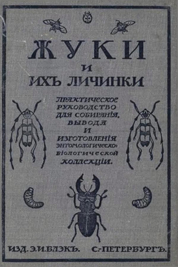 Жуки и их личинки | Карл Мюлль