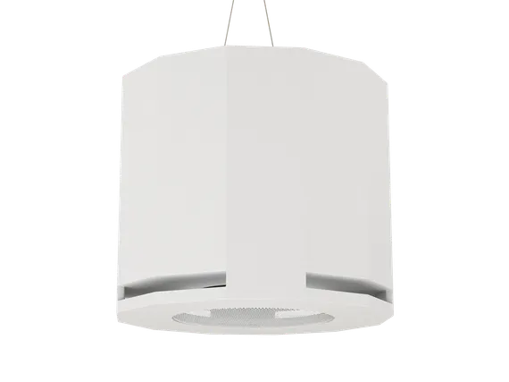 CVGAUDIO SUBone model D-6W/CR подвесной сабвуфер, мощность 80W/160W.