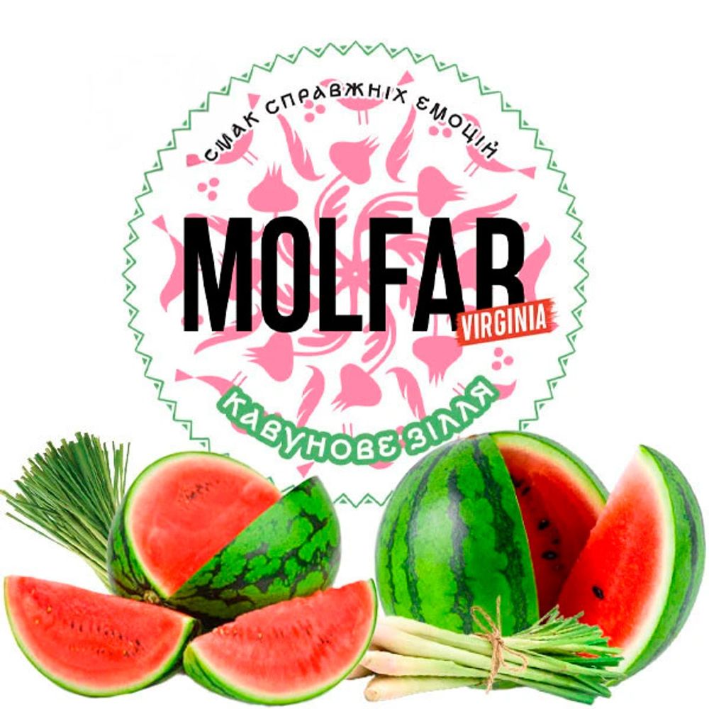 Molfar Virginia Line - Watermelon Potion (100g)