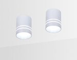 Накладной светодиодный точечный светильник TN241 SL/S серебро/песок LED 4200K 12W D80*100