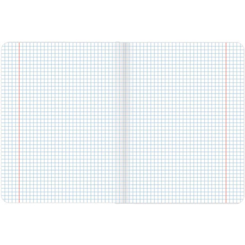 Тетрадь предметная COLOR 48 листов, матовая ламинация, лак, 70 г/м2, ИНФОРМАТИКА, клетка, подсказ, BRAUBERG, 403984