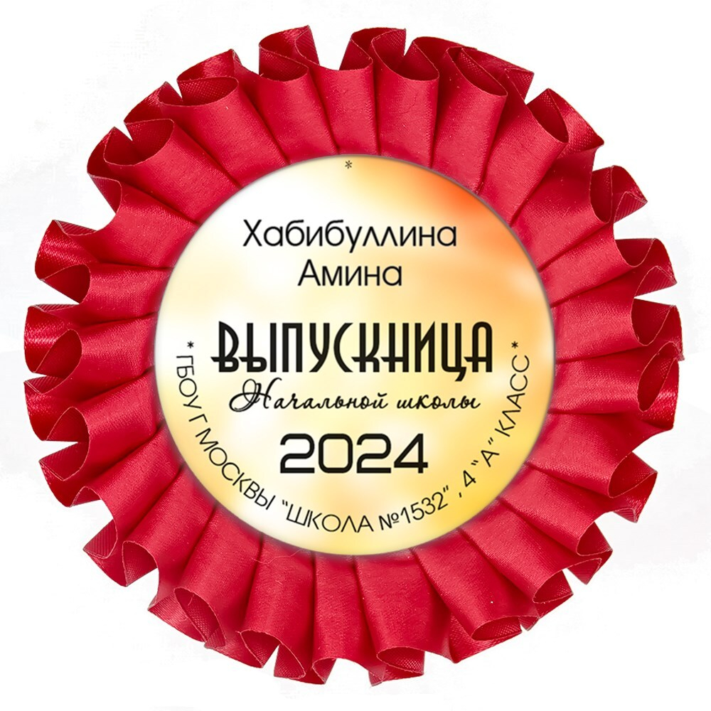 Наградная розетка именная. Арт. 7053