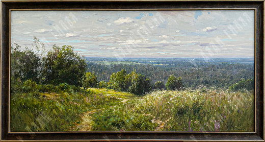 Плотников В.В. Родные просторы. Холст, масло. Россия, 2015 г.