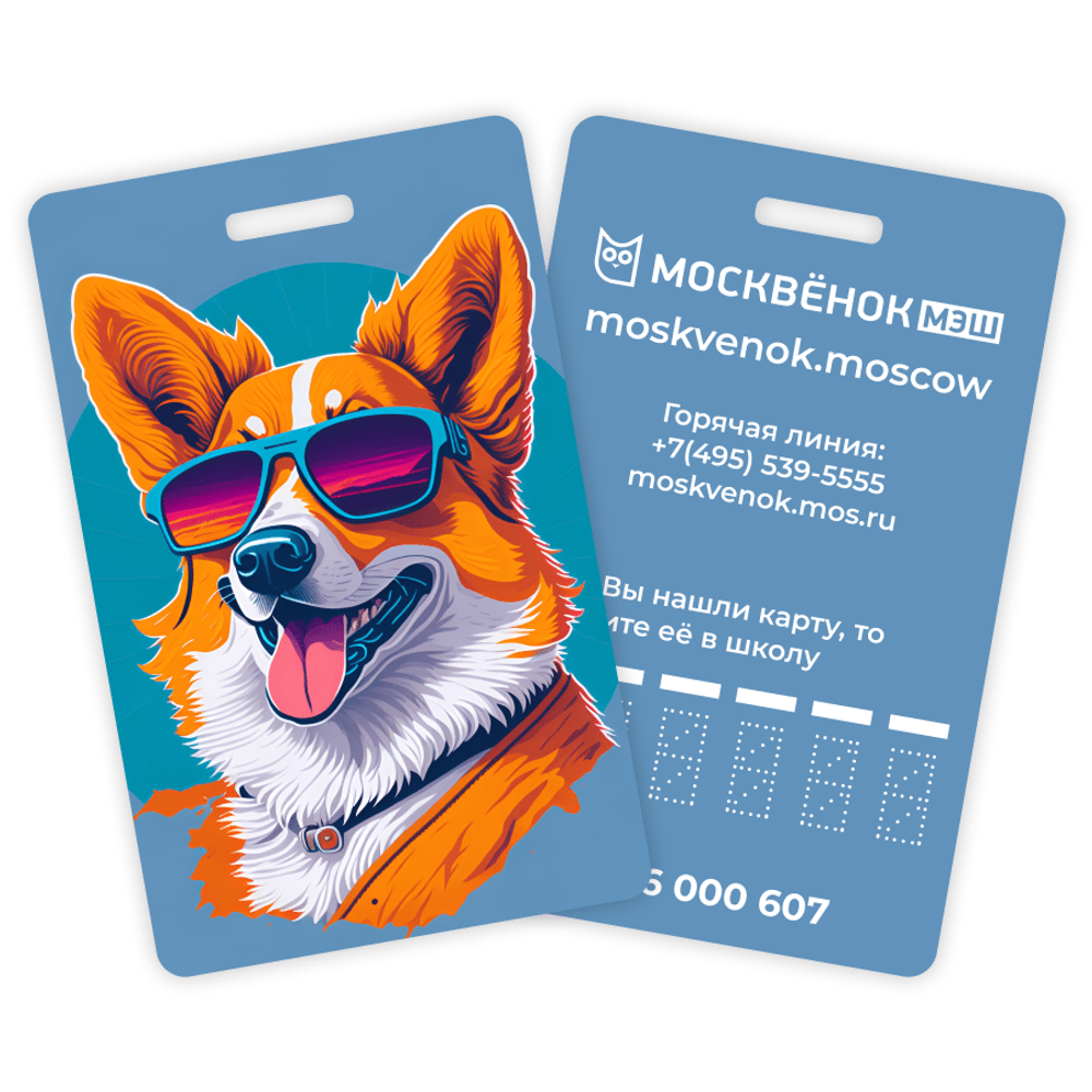 Карта Москвёнок ART №7 (проход + питание)