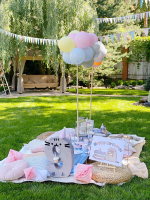 Cat Pusheen Party